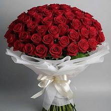 Букет 101 Красная роза Блэк Мэджик в Чермозе
